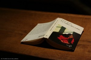 Couverture du livre la vallée des rubis