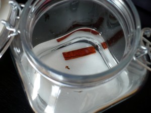 bocal de rhum avec ssucre et épices (vanille, cannelle, girofle)