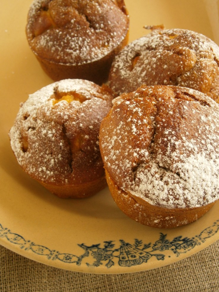 moelleux rapadura butternut amande poire