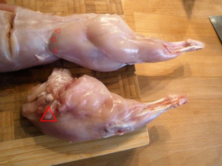 Découper chaque cuisse en suivant l'arrondi montré par les trois flèches rouges puis désolidariser chaque cuisse en déboîtant la boule du cartilage (cf. flèche rouge), il n'y a pas vraiment de résistance