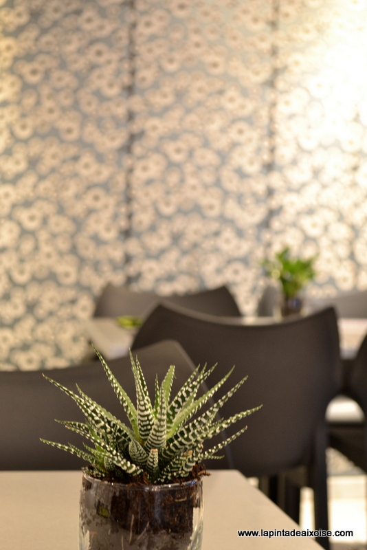 pat thai aix deco zen gris bleu plante grasse